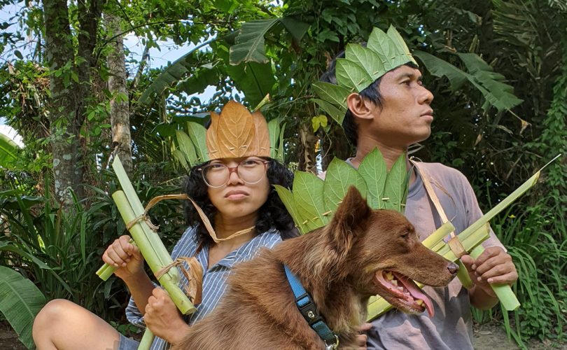 Crowns made of Leaves Play with Nature