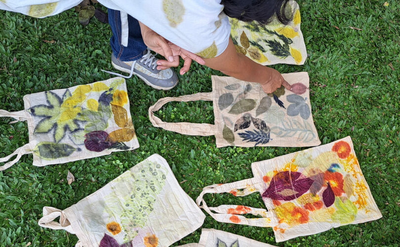 Eco-Prints with Tembindigo